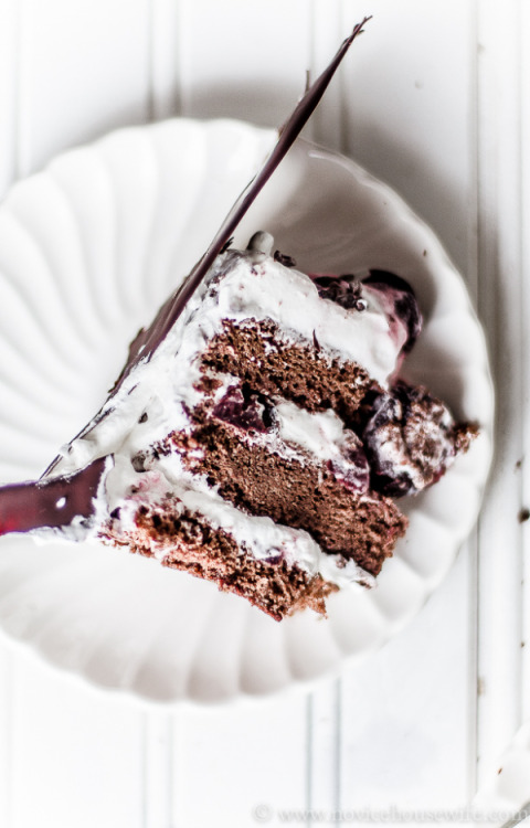 Swiss Black Forest Cake The Novice Housewife